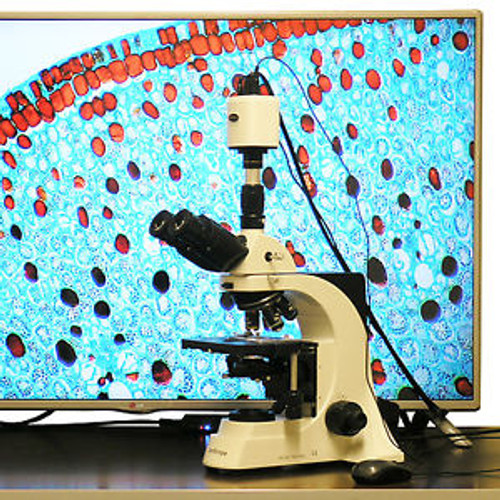 40X-1500X Plan Infinity Laboratory Trinocular Compound Microscope & 1920x1080 HD