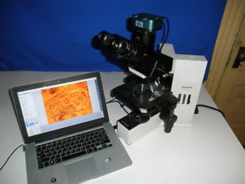 Olympus BX40 Trinocular Microscope