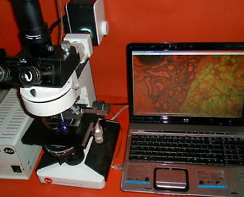 Leitz Laborlux S Fluorescence Phase Microscope