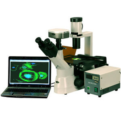 40-1000x Phase Contrast Inverted Fluorescent Microscope + Fluo Camera