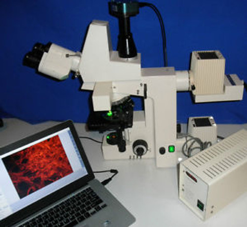 zeiss Axioskop 50 Fluorescence  ERGO Trinoc Microscope