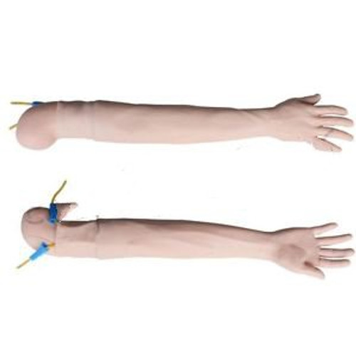 Venipuncture Injection Nurse Training Arm Adult Model Teaching Education Tools