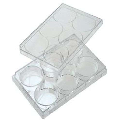 Cole-Parmer 6-Well Treated Cell Culture Plate With Lid 100/Cs