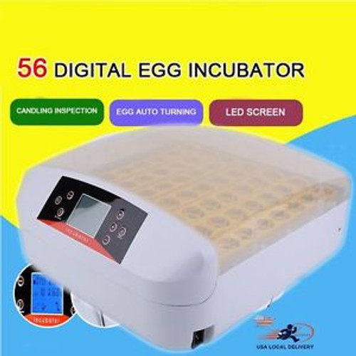 56 Eggs Incubator Temperature Control & Automatic Turner & LCD Display Screen