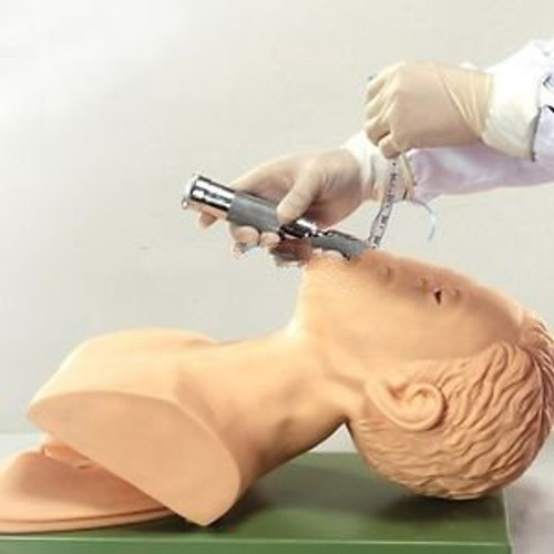 220V Intubation Manikin Study Teaching Model Airway Management Trainer Pvc