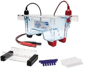 Edvotek M6Plus Electrophoresis Apparatus 1 Lab Groups Sample 7Cm Length X 10Cm