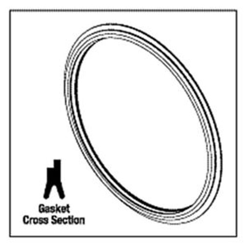 Amsco Steris Eagle 10 & 10 Plus Door Gasket Rpi# Amg161