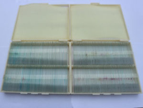 200Pc Professional Plant Animal Insect Specimen Glass Prepared Microscope Slides