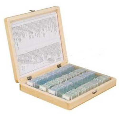 100 Glass Prepared Basic Science Microscope Slides With Wooden Box Set A