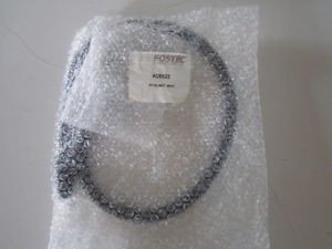 Foster Fiber Optic Light