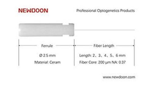 New Fiber Optic Cannula Ferrule Material Ceramics 2.5 Mm