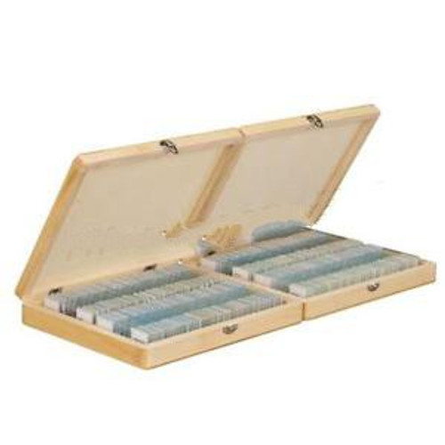 200Pc Glass Prepared Basic Science Microscope Slides With Wooden Box