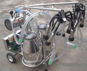 Double Tank Vacuum Pump Milker Brand New For Cows + Goats Oil Free O