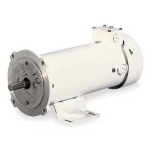 Washdown DC Motor Dayton 1F650