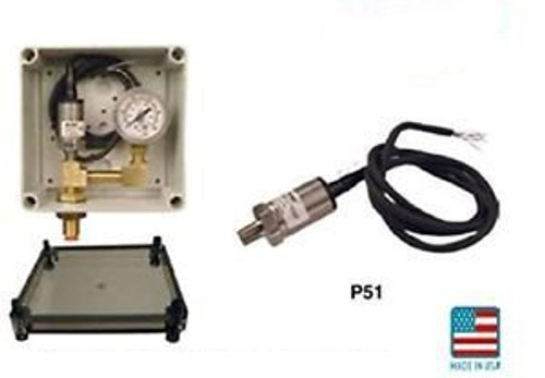 Kele P51-100-20-E-G P51 Series Stainless Steel Pressure Transmitter 0-100 PSI