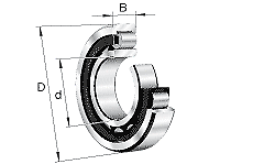 Fag Nu2311E.M1.C3 Cylindrical Roller Bearing Single Row
