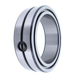 Ina Sl014918-A-C3 Cylindrical Roller Bearings Sl0149, Locating Bearing, Double R