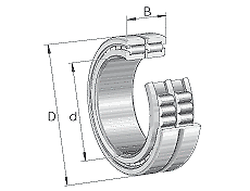 Ina Sl18-5013A Cylindrical Roller Bearing Double Row