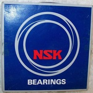 Nsk Nj226W Series Cylindrical Roller Bearing Removable Inner Ring Flanged