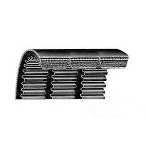 Cx144/09 Cogged Banded V-Belt (7/8 X 148) Fits Several