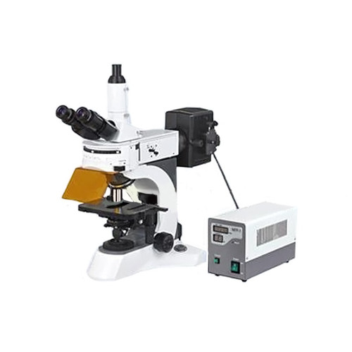 YG-800 Fluorescence Microscope, Trinocular Microscope, Clinical Diagnosis, Teaching Experiment, Pathological Examination