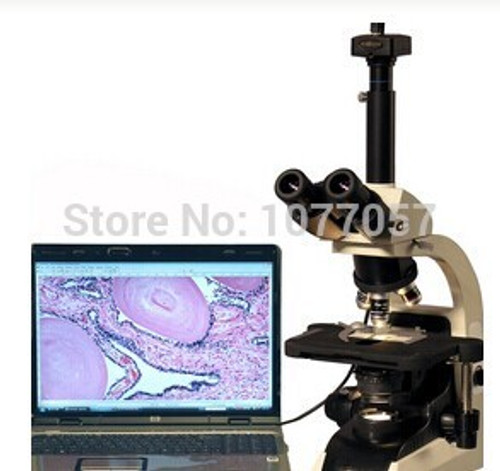 Best sale  9.0M Pixel ,40X-2000X Infinity Digital Microscope for clinics ,Lab , Well sold In EU , USA , Latin American