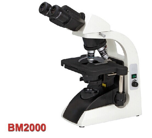 Hot sale 40X-1000X Infinity Plan Binocular Biological Microscope  , Well sold In EU , USA , Latin American