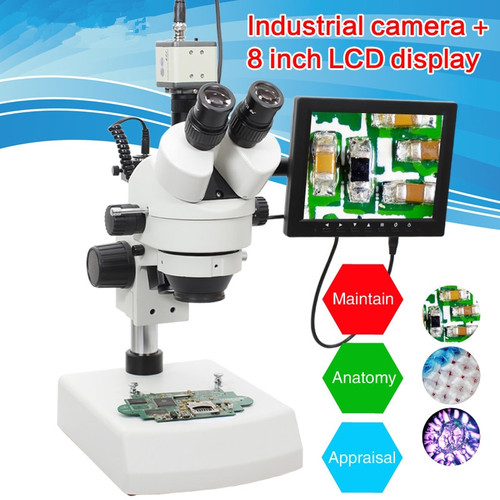 BELONA Brand Professional 7X~45X/7X-90X Trinocular Stereo Zoom Vertical Zoom Microscope +8 inch industrial display + camera