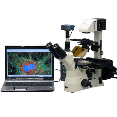 400X-600X Phase Contrast Inverted Fluorescence Microscope+3Mp Camera