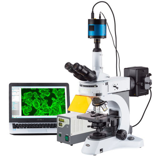 Amscope 40X-1000X Upright Fluorescence Microscope With Rotating Multi-Filter Turret + Ultra-Sensative 1.4Mp Ccd Camera