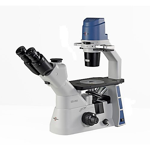 Accu-Scope Exi-310-Pl Inverted Microscope, 4/10/20X Plan Achromat Objectives, 5W Led Illumination, 120V