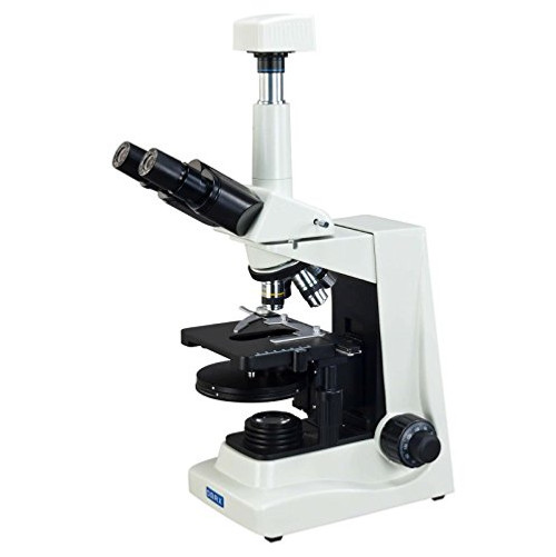 OMAX 1600X Phase Contrast Siedentopf 1.3MP Digital PLAN Microscope