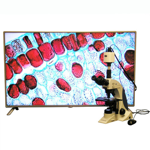 100X-1000X Plan Infinity Kohler Laboratory Research Microscope with 1080p HDMI Camera
