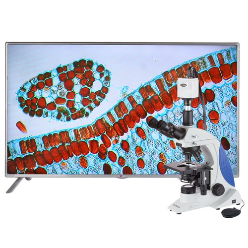 AmScope T610-IPL-HD18 40X-1000X Plan Infinity Kohler Laboratory Research Microscope with 1080p HDMI Camera