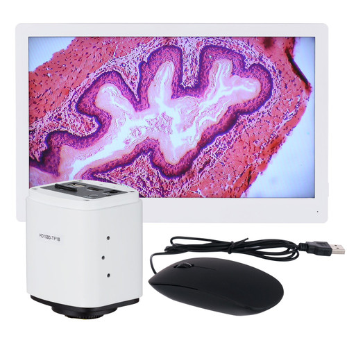 AmScope HD1080-HDM 1080p 60fps HDMI Microscope Camera + HD Monitor