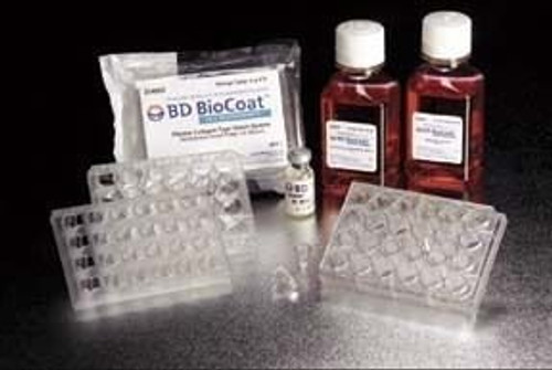 BD BioCoat HTS Caco-2 Assay Systems, BD Biosciences 354802 Hts Caco-2 Assay Systems Five Plate