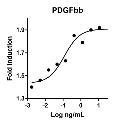 Humankine Recombinant Human PDGFbb 1000ug