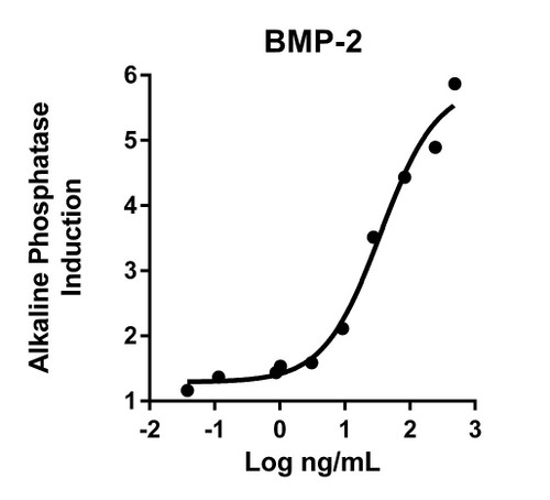 Humankine Recombinant Human BMP-2 1000ug