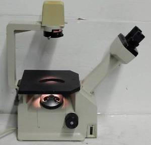 Buy -Nikon TMS Tissue Culture Inverted Phase Contrast Microscope