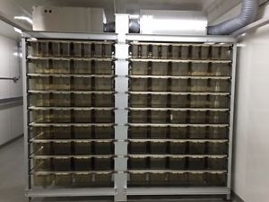 Buy -LAB/Thoren Maxi-Miser Rack Systems 2 Sided Ventilated Rodent Rack ...