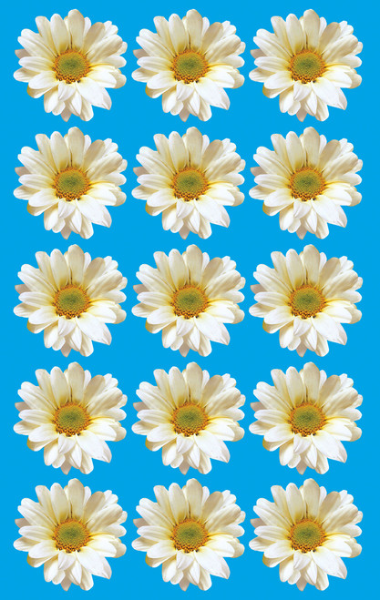 floral 73