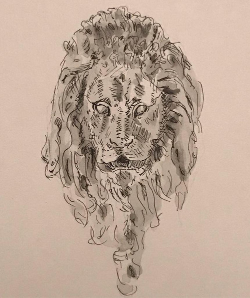 Lion