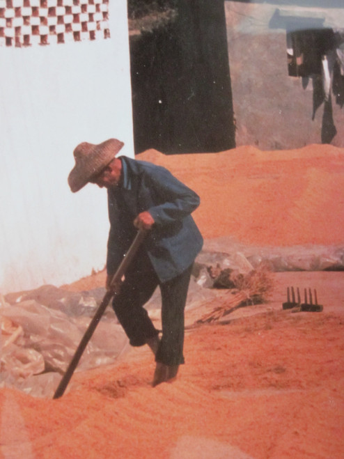 Chinese Farmer