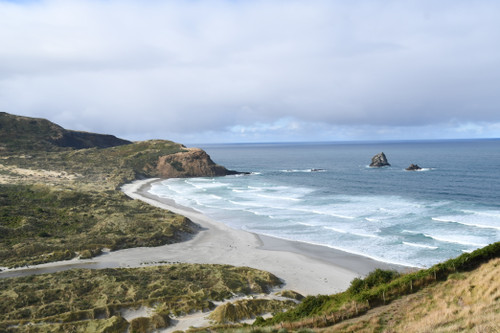 Dunedin Beach