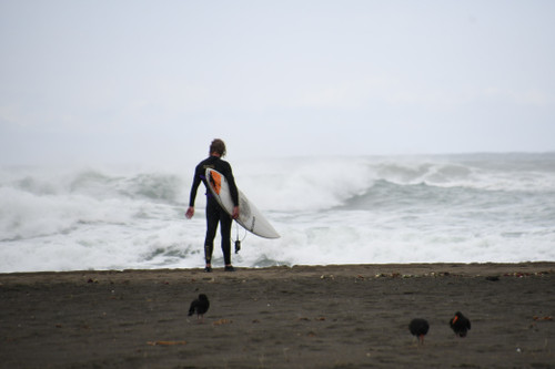 New Zealand Surfer