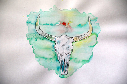 Cow skull