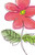 floral 09