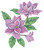 floral 39