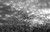 photo 06