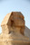 Egyptian Sphinx 02